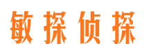 西吉侦探公司